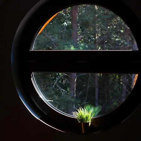 Saski Zakatek, W Bajkowym Domku!!! Mazury, Sauna, Jezioro, Pomost, Villa Sasek Maly