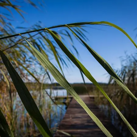 Villa Saski Zakatek, W Bajkowym Domku!!! Mazury, Sauna, Jezioro, Pomost, *