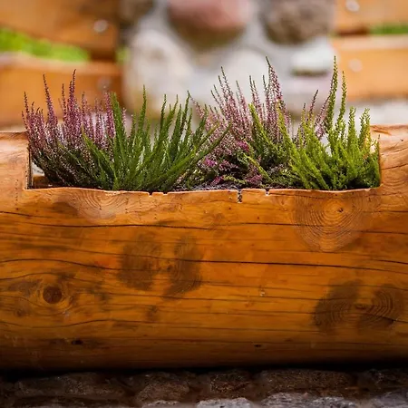 Saski Zakatek, W Bajkowym Domku!!! Mazury, Sauna, Jezioro, Pomost,