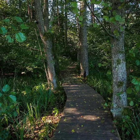 Saski Zakatek, W Bajkowym Domku!!! Mazury, Sauna, Jezioro, Pomost, Villa