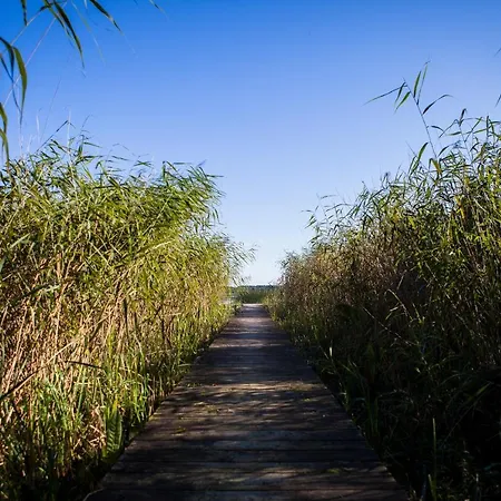 Villa Saski Zakatek, W Bajkowym Domku!!! Mazury, Sauna, Jezioro, Pomost, *