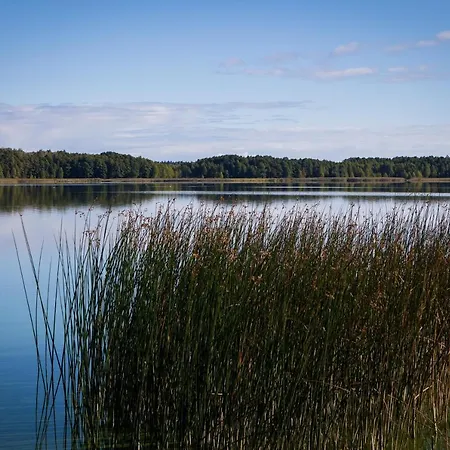 Villa Saski Zakatek, W Bajkowym Domku!!! Mazury, Sauna, Jezioro, Pomost,
